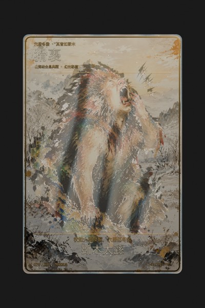 猾褢卡面